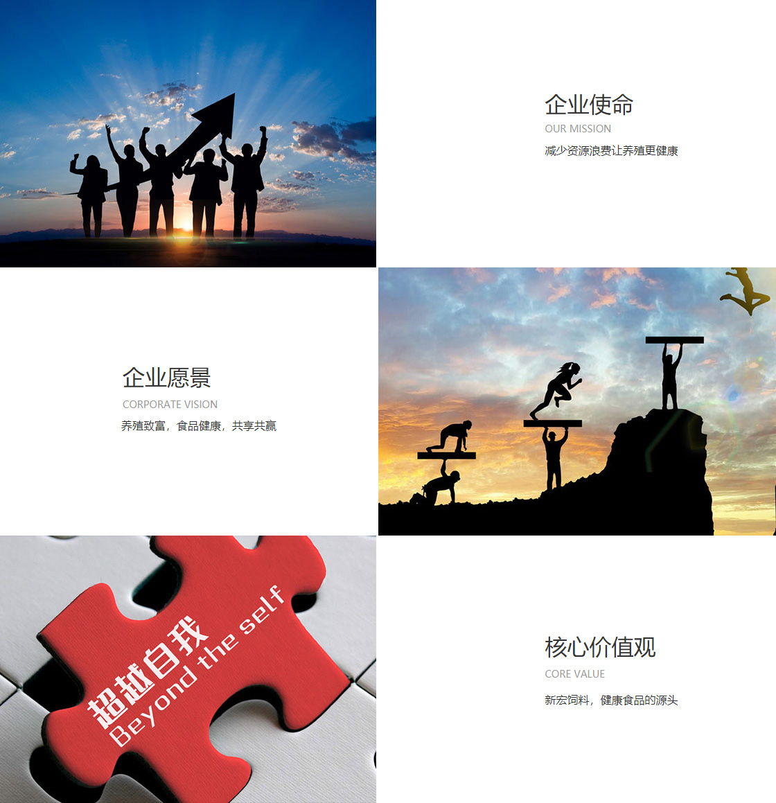 必赢亚州游戏官网首页(图1)